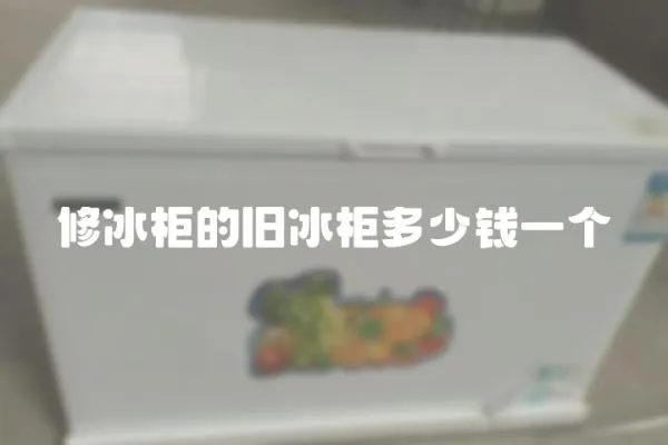 修冰柜的舊冰柜多少錢一個