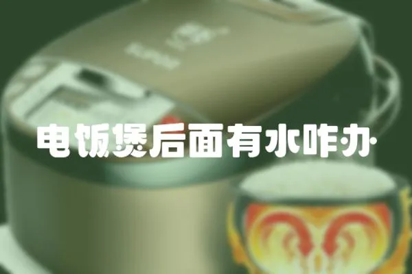 電飯煲后面有水咋辦