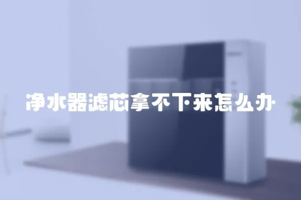 凈水器濾芯拿不下來怎么辦