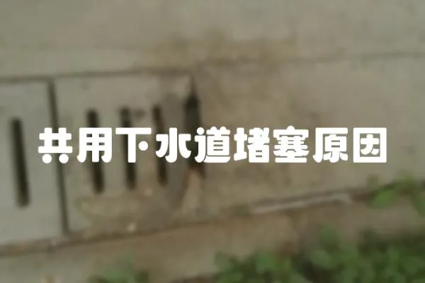 共用下水道堵塞原因