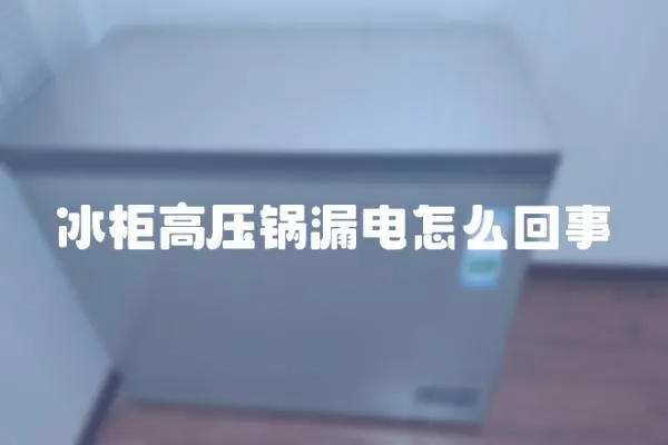 冰柜高壓鍋漏電怎么回事
