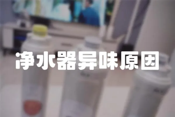 凈水器異味原因
