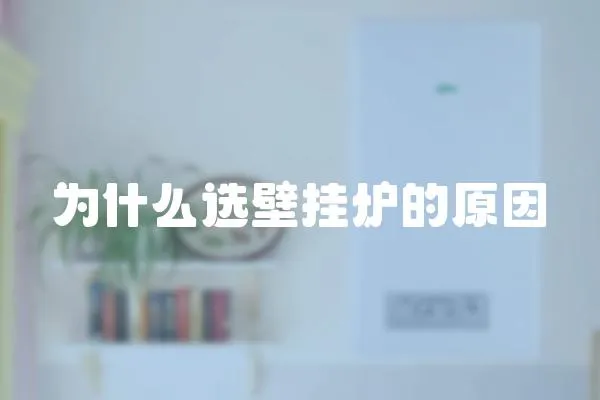 為什么選壁掛爐的原因