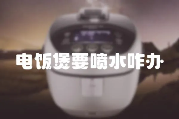 電飯煲要噴水咋辦