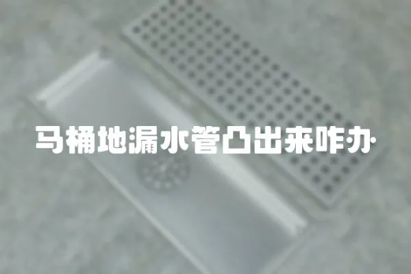 馬桶地漏水管凸出來咋辦