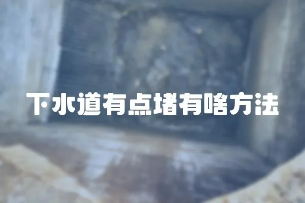 下水道有點堵有啥方法