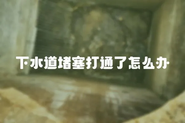 下水道堵塞打通了怎么辦