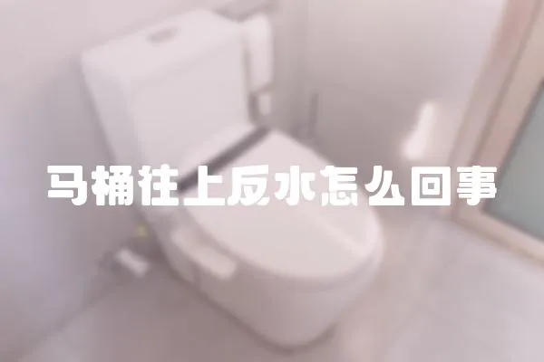 馬桶往上反水怎么回事