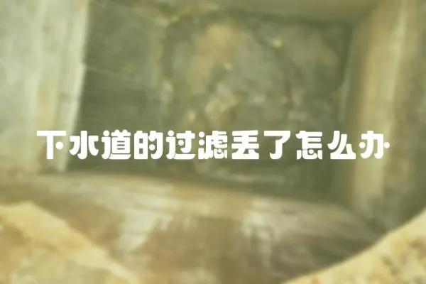 下水道的過濾丟了怎么辦