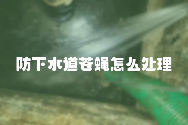 防下水道蒼蠅怎么處理