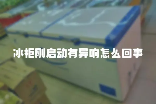 冰柜剛啟動(dòng)有異響怎么回事