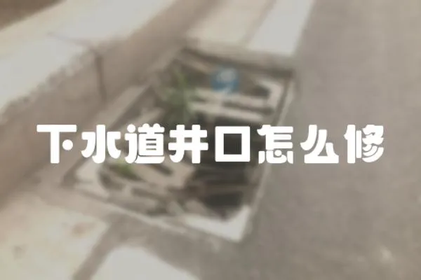 下水道井口怎么修