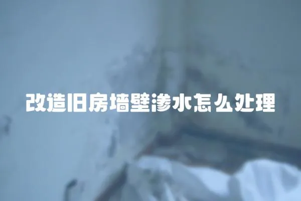 改造舊房墻壁滲水怎么處理
