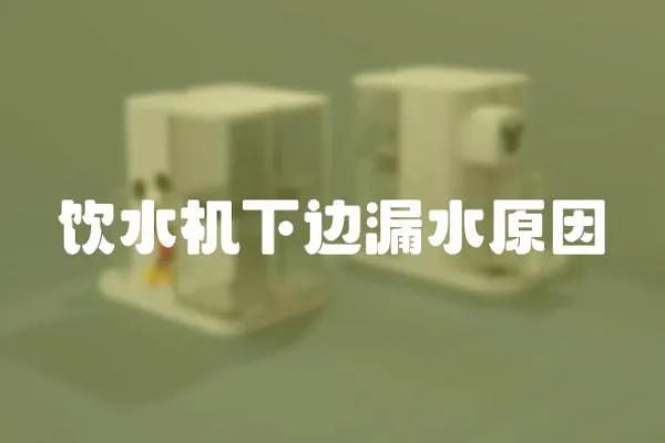 飲水機下邊漏水原因