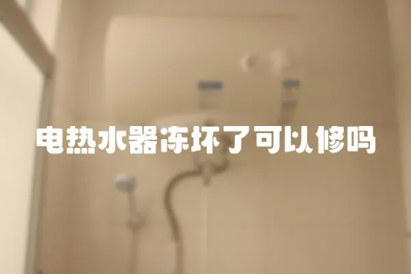 電熱水器凍壞了可以修嗎