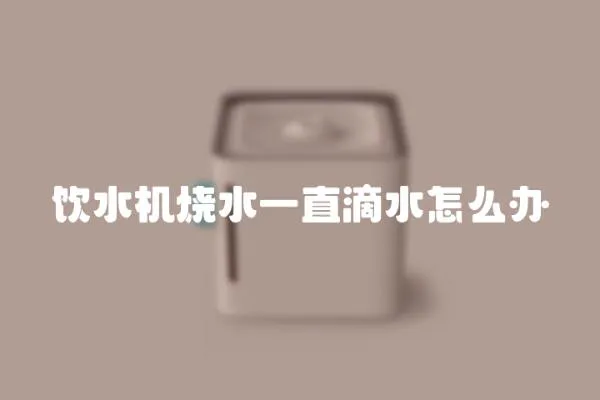 飲水機燒水一直滴水怎么辦