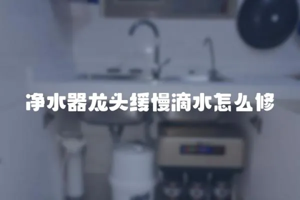 凈水器龍頭緩慢滴水怎么修