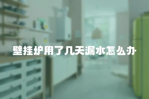 壁掛爐用了幾天漏水怎么辦