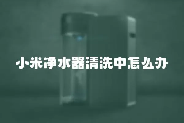 小米凈水器清洗中怎么辦