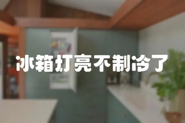 冰箱燈亮不制冷了