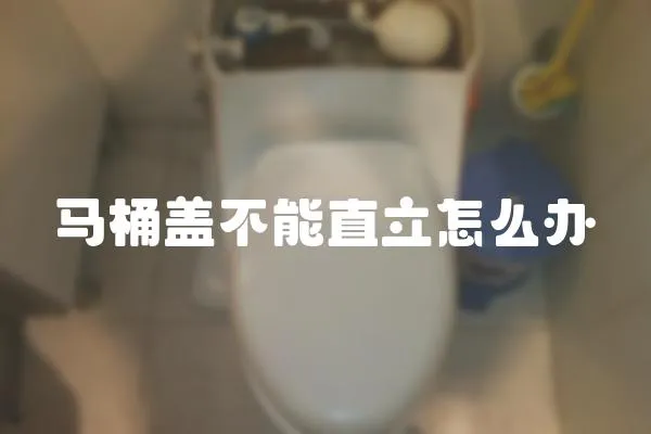 馬桶蓋不能直立怎么辦