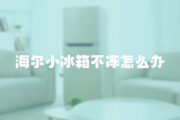 海爾小冰箱不凍怎么辦