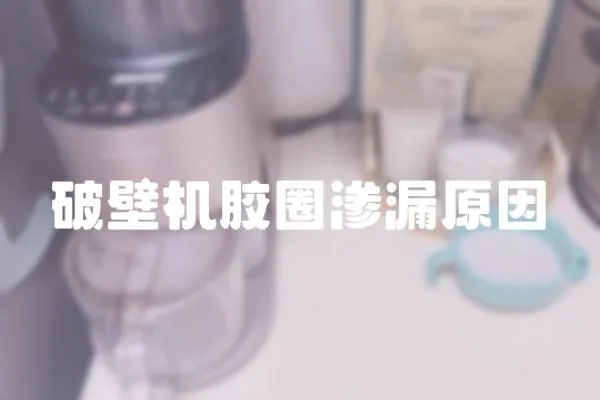 破壁機膠圈滲漏原因
