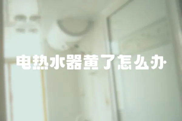 電熱水器黃了怎么辦