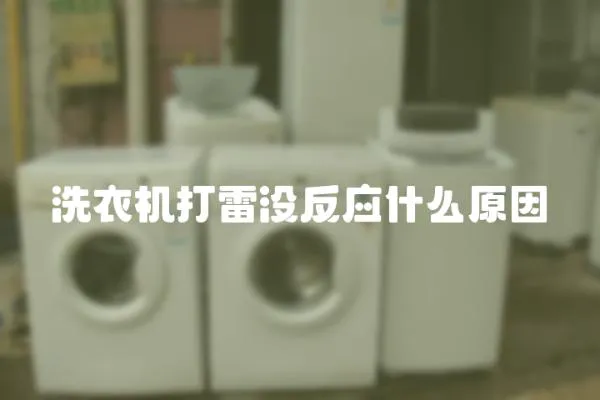 洗衣機打雷沒反應什么原因
