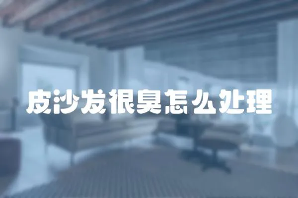 皮沙發很臭怎么處理