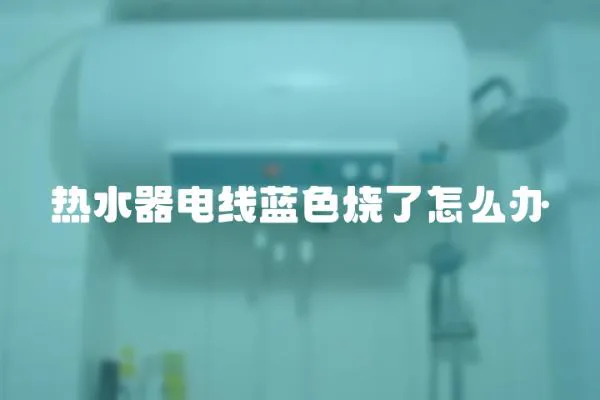 熱水器電線藍色燒了怎么辦