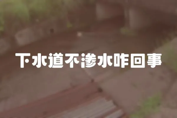 下水道不滲水咋回事