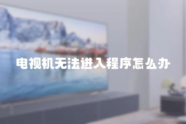 電視機無法進入程序怎么辦