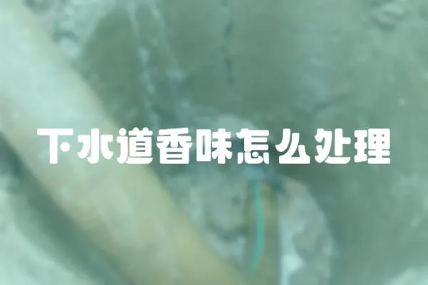 下水道香味怎么處理