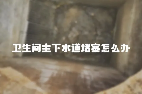 衛生間主下水道堵塞怎么辦