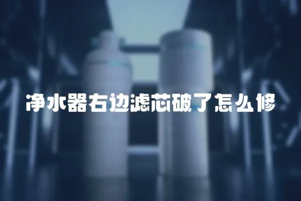 凈水器右邊濾芯破了怎么修