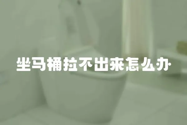 坐馬桶拉不出來怎么辦