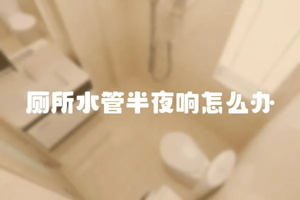 廁所水管半夜響怎么辦