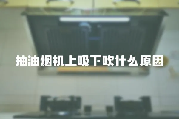 抽油煙機上吸下吹什么原因