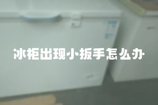 冰柜出現小扳手怎么辦