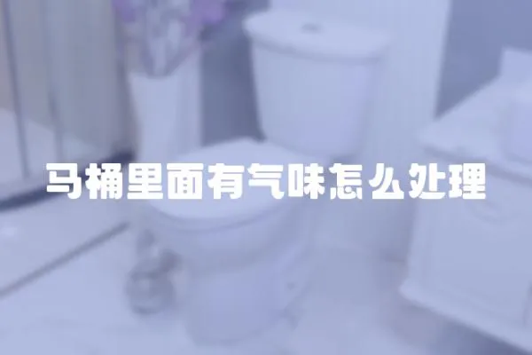 馬桶里面有氣味怎么處理