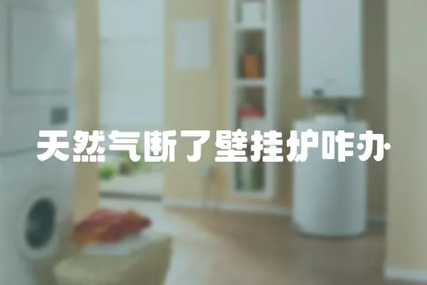 天然氣斷了壁掛爐咋辦