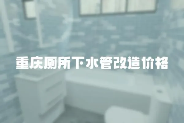 重慶廁所下水管改造價(jià)格