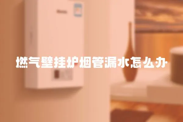 燃氣壁掛爐煙管漏水怎么辦