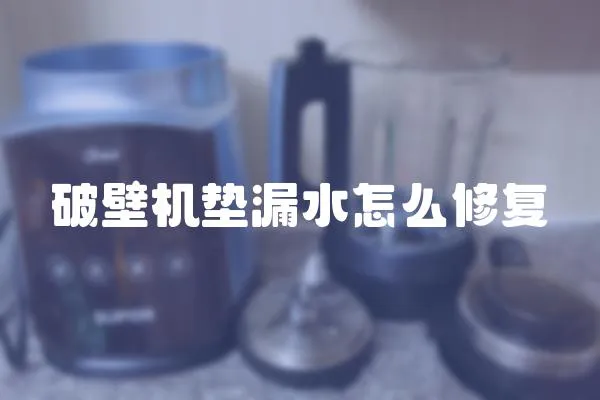 破壁機墊漏水怎么修復