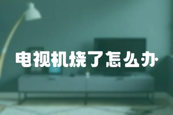 電視機燒了怎么辦