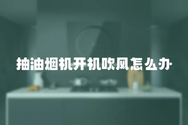 抽油煙機開機吹風怎么辦