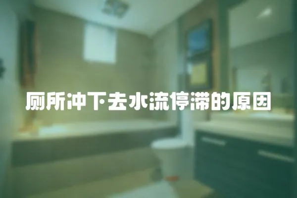 廁所沖下去水流停滯的原因