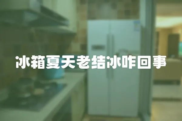 冰箱夏天老結冰咋回事