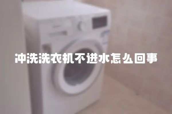 沖洗洗衣機(jī)不進(jìn)水怎么回事